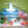 aquarium-14.webp